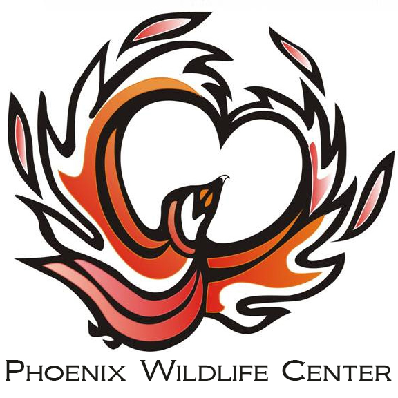 Our Non-Profit Partner for the May 10-12 Baltimore Birding Weekend