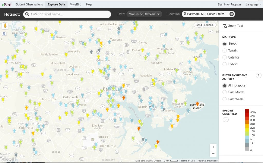 Birding Hotspots – Baltimore Birding Weekend